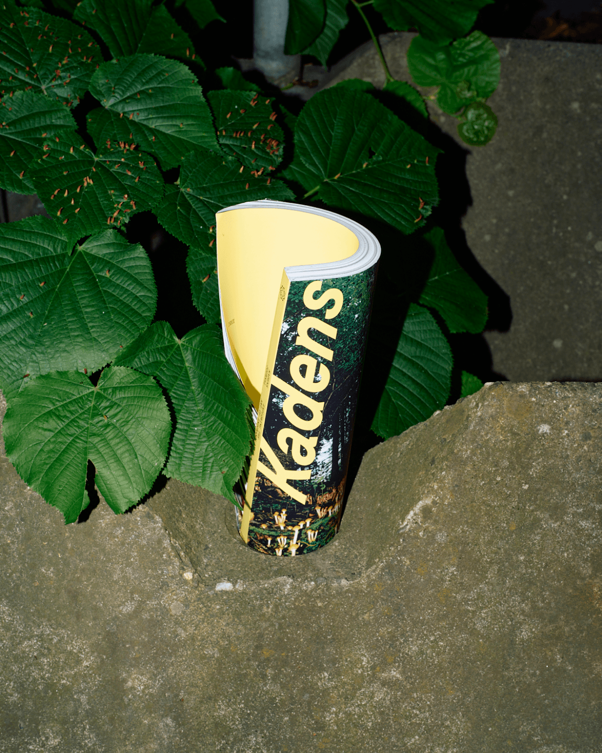 KADENS JOURNAL [ISSUE 01]